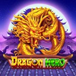 Dragon Hero